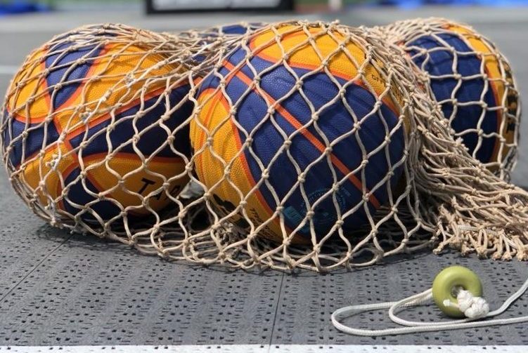 bolsa de balones de baloncesto