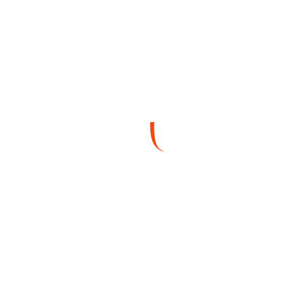 QL SPORT