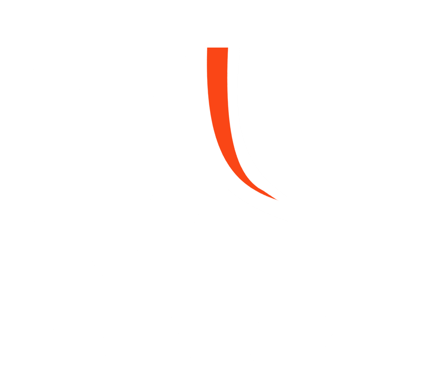 LOGO CORPORATIVO QLSPORT